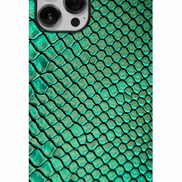 Animal Print 05
