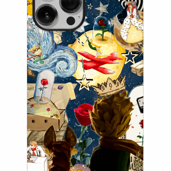 El Principito 04