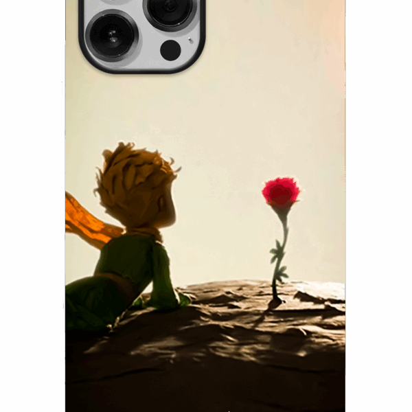 El Principito 06