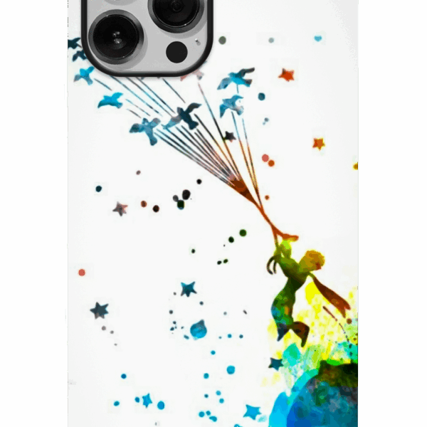 El Principito 08