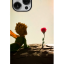 CASE-PRINCIPITO7-16-8
